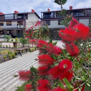 Объявление Дом, 88.6м2, 3 эт, 1 сот.