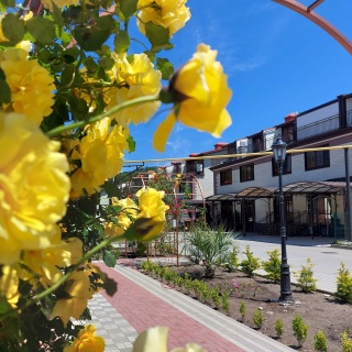 Объявление Дом, 88.6м2, 3 эт, 1 сот.