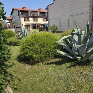 Объявление Дом, 88.6м2, 3 эт, 1 сот.