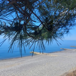 Объявление Дом, 88.1м2, 3 эт, 1 сот.