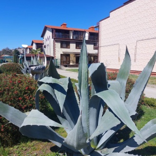 Объявление Дом, 88.6м2, 3 эт, 1 сот.