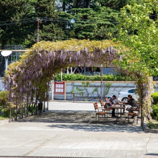 Объявление Дом, 88.6м2, 3 эт, 1 сот.