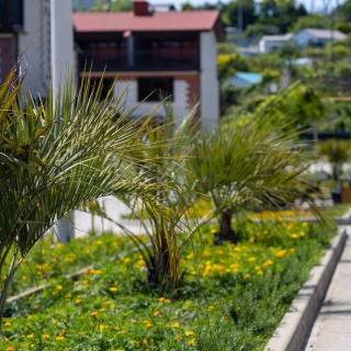 Объявление Дом, 88.6м2, 3 эт, 1 сот.